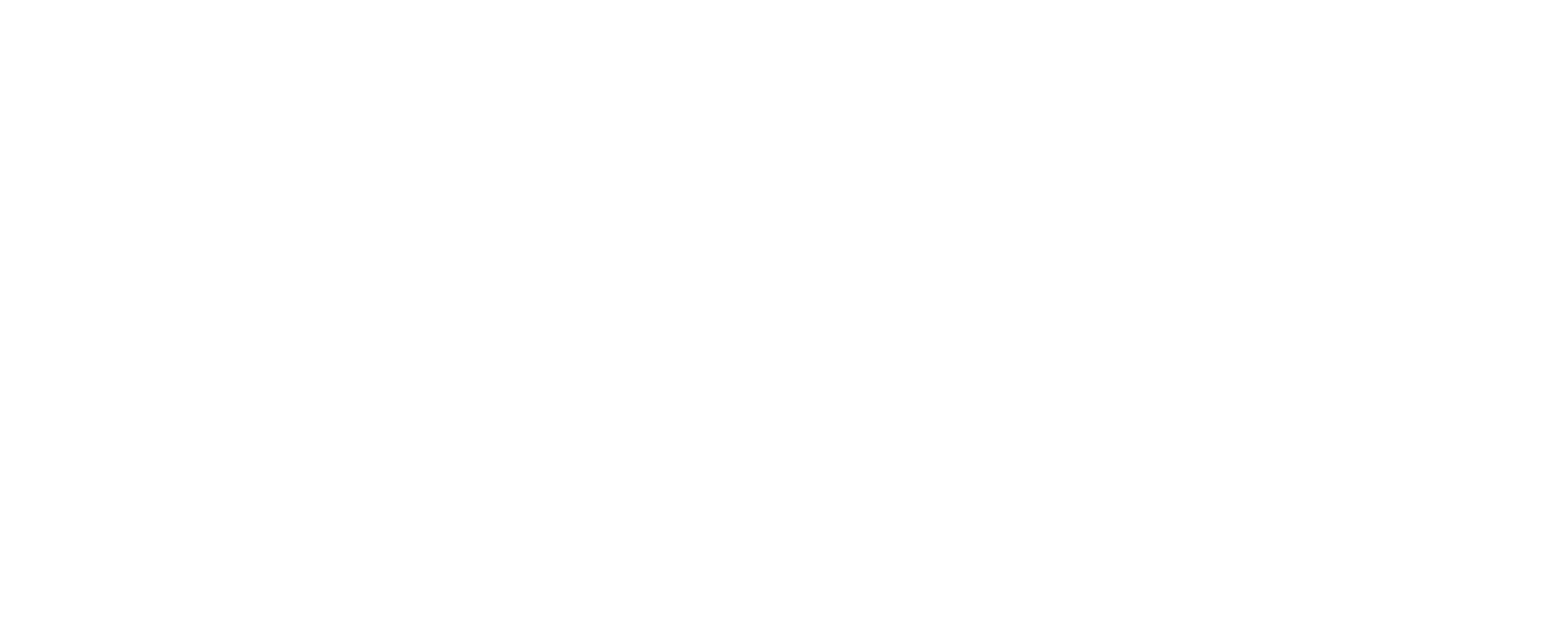 Savvy_Premium_Logo_White